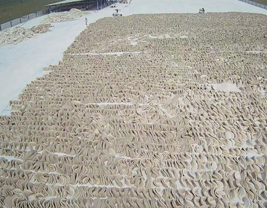 Washed Kaolin